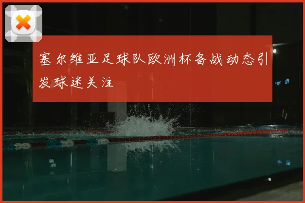 塞尔维亚足球队欧洲杯备战动态引发球迷关注