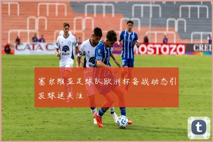塞尔维亚足球队欧洲杯备战动态引发球迷关注