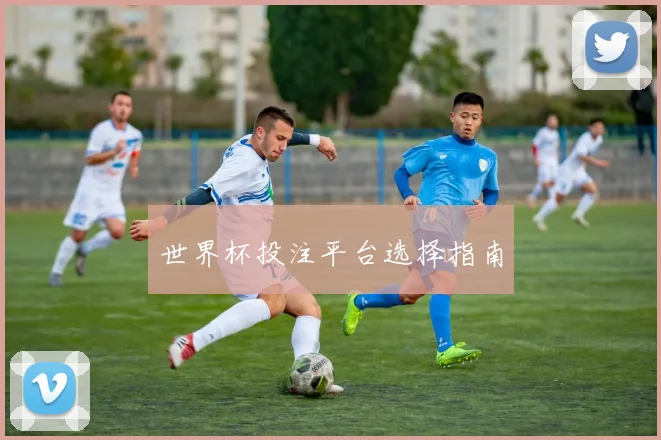 世界杯投注平台选择指南