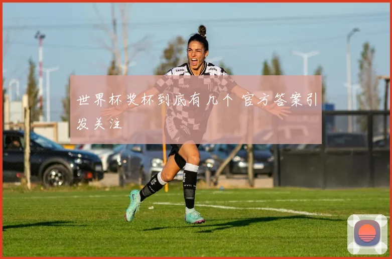 世界杯奖杯到底有几个 官方答案引发关注