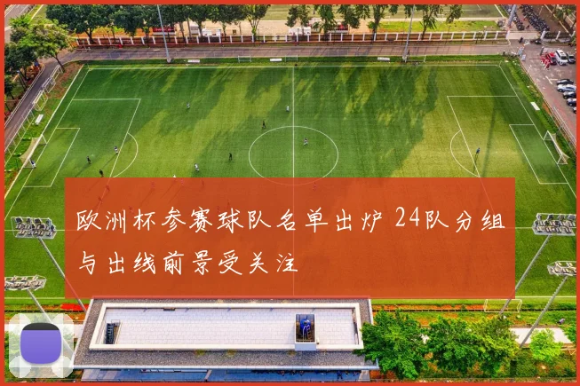 欧洲杯参赛球队名单出炉 24队分组与出线前景受关注