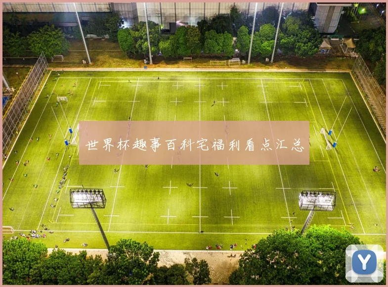 世界杯趣事百科宅福利看点汇总