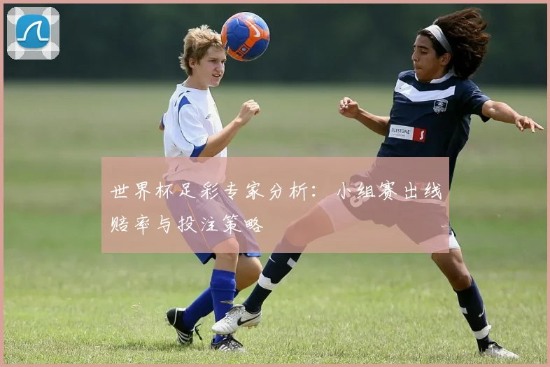 世界杯足彩专家分析:小组赛出线赔率与投注策略