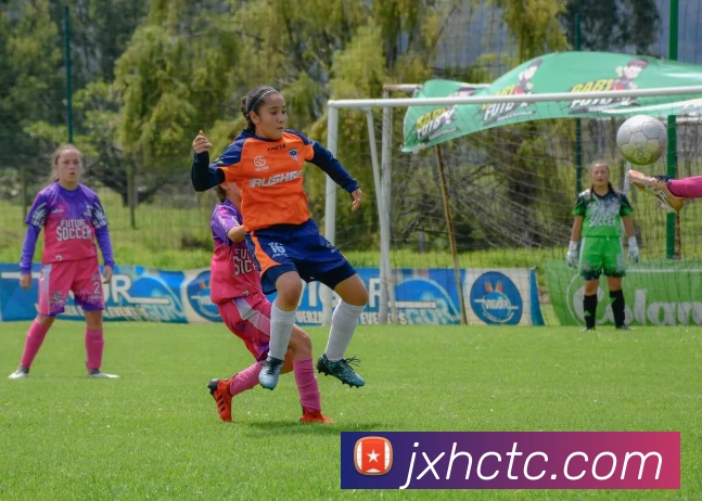 世界杯官网中文版平台生态图