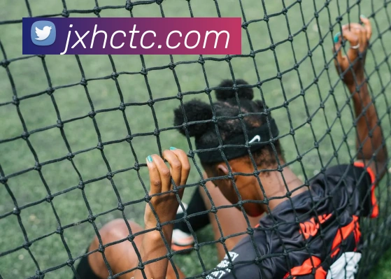 世界杯官网中文版APP 封面图